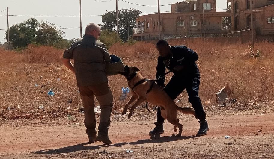 SERVICES UNIVERSELS se dote d’une brigade canine